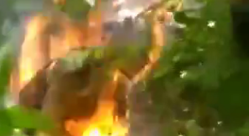 Cattle Thief Burned Alive In Haiti