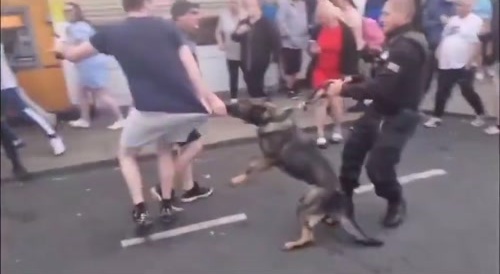 Another Angle of Police Dog Bites Rioter In The UK