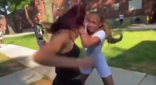 Wild Ratchets Fight in Section 8 Projects