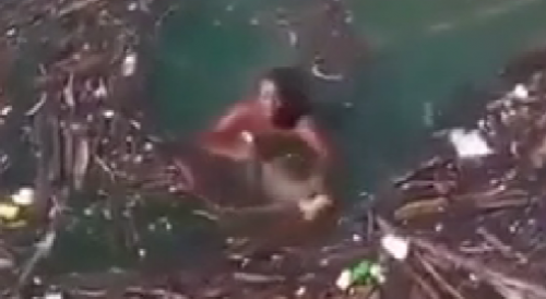 Man Goes To Rescue Some Wood, Ends Up Drowning On Film