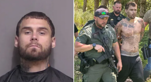 K9 Bites Escaped Florida Felon