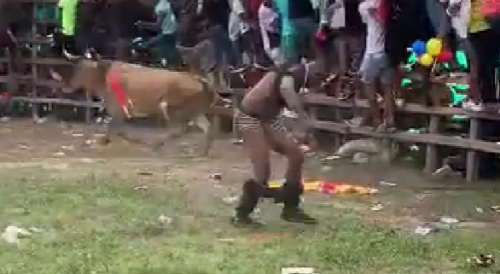 Man Gored In The Leg At Bull Fest In Colombia