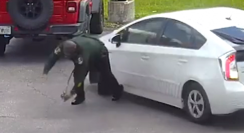 Florida 'manic woman' hits deputy with car outside sheriff’s office