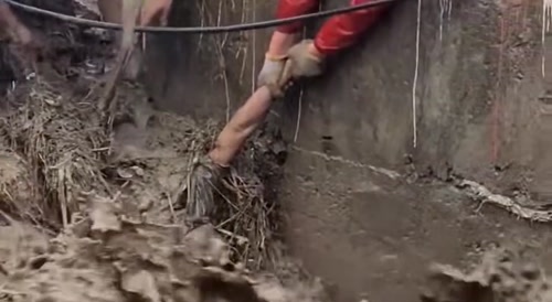 Victim Of Flood In Vietnam