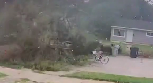 Cyclist Nearly Killed By Falling Tree During Storm In Milwaukee