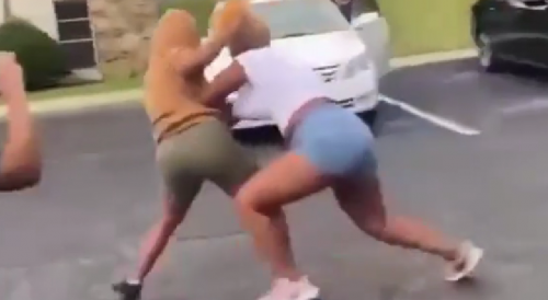 Brown Hoodie Wins Two Hood Fights In A Row