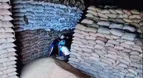 Warehouse Workers Buried Under Falling Wheat Sacks