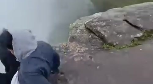 New butterfly takes flight from Fumaca waterfall, Chapada Diamantina