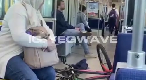 Crazy Native lady arrested for holding up the LRT