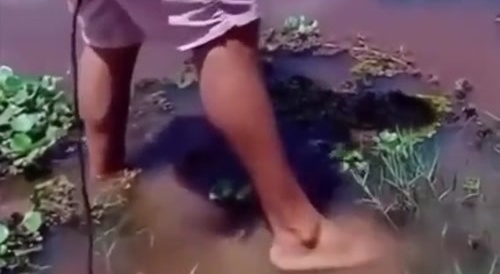 Stepping On A Stingray WCGW