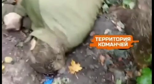 Ukrainian reconnaissance soldiers killed.