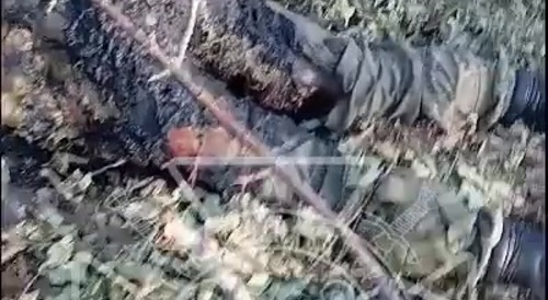 Many dead Ukrainians are rotting. The Russian army has captured Ukrainian positions.