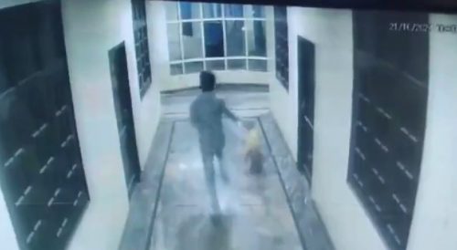 1001st Way To Die In India: Man playfully chasing dog falls from third floor