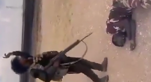 Member of Joint Forces Gets Finished Of by Rapid Support Forces Militants