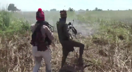 Ambush Of Nigerian army patrol in Borno state