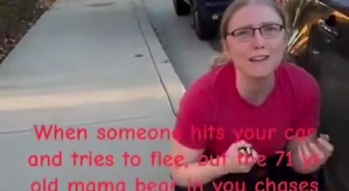 Young Karen Has Meltdown Over Hit & Run Accident