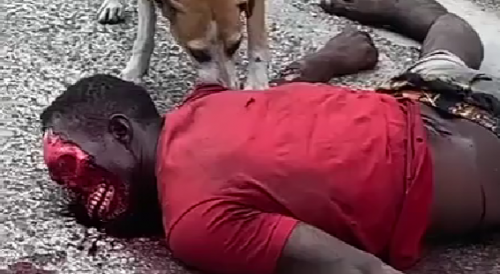 Doggo Eats The Corpse Of Haitian Man