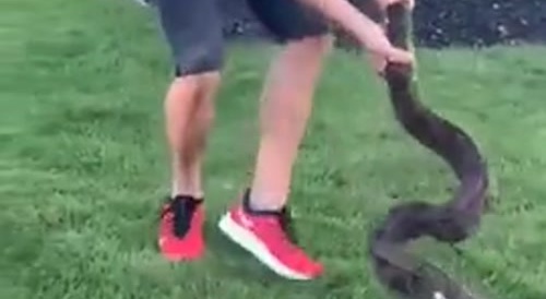 Stupid Idiot gets Bit By Freaking Snake