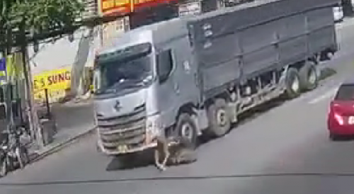 Biker is run over by truck and explodes