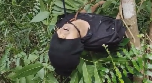 Man Found In Indonesian Jungle Hung