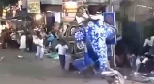 Elephant has had enough of this shit