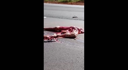 road gore brazil : driver crushed by own truck