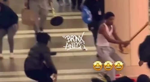 Fight Breaks Out At The Bronx Mall