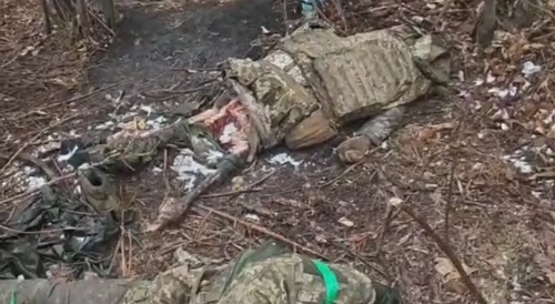 Beautiful corpses of Ukrainian bandits who attacked Russia Motherland