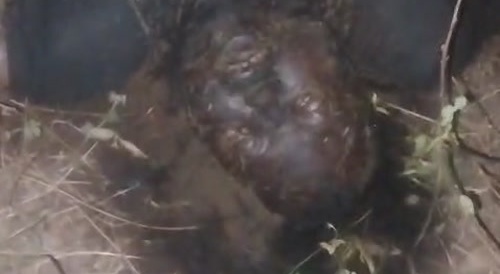 Gruesome Find In Abandoned Farm