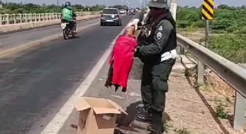 Motorcyclist Dismembered By Railing