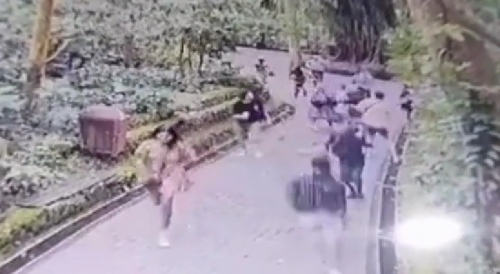 Two tourists are crushed to death due to fallen trees