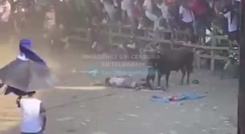 Muere después de ser corneado por un toro de lidia