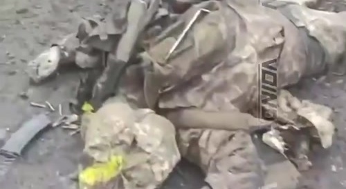 Ukrainian soldiers from the 110th brigade who refused to surrender in Velykaya Novoselka