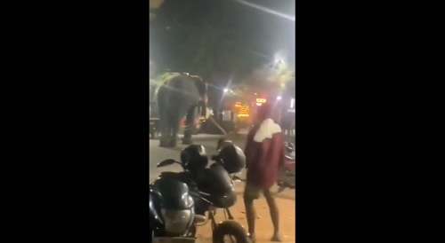 Elephant Crushes Man To Death..