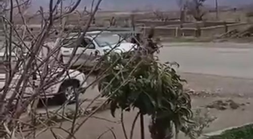 NEW - 3 Kurds shooted by Turkish soldiers