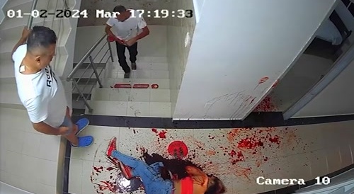 Alpha male stabs his cheating wife to death