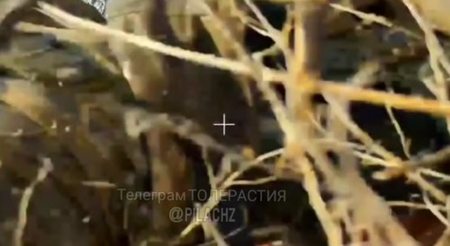 The soldier hid badly in the bushes and caught the drone with his head