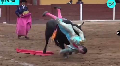 A Mexican bullfighter gets a horn in his ass