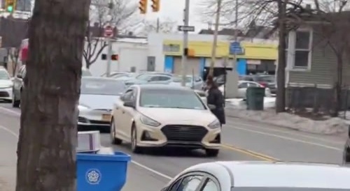 Filthy Woman Rubs Fresh Diarreah on Innocent Cars