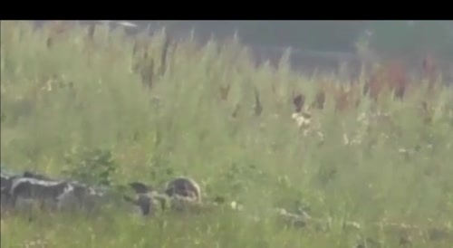 a ukrainian sniper, a russian head