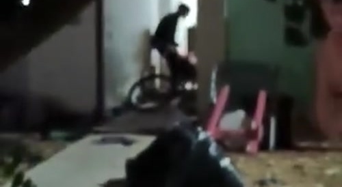 young man attacked dogs