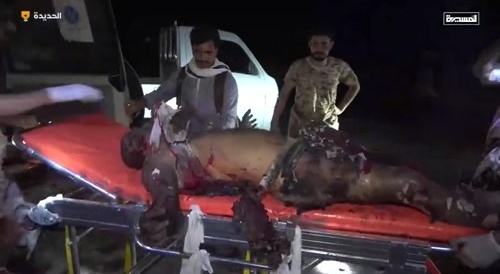 Trump Bombs Yemen (extended)