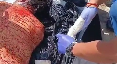 Woman Brutally Murdered and Dismembered by Cousin