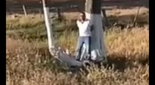 Dont play with Hill people's