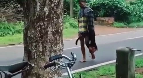 Guy walks with a head