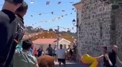 Angry Bull Culture thing
