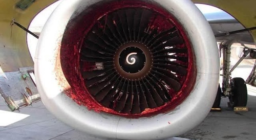Aftermath of a accident of a mechanic(pictures)