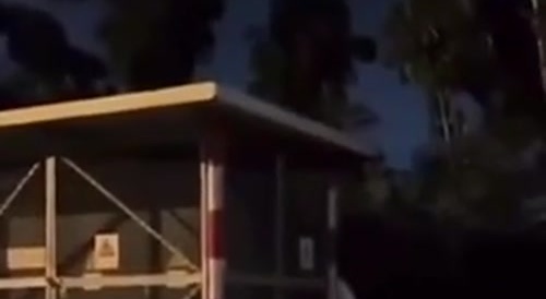 He needed a piss, but..