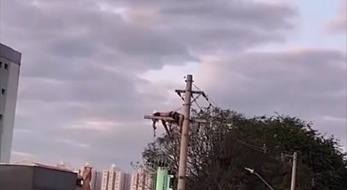 Drunk and getting electrocuted