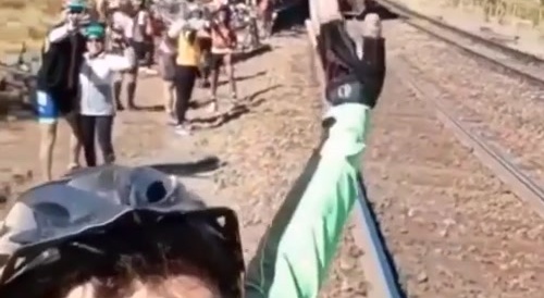 whitebread does indian train trend